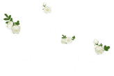 plaisir logo