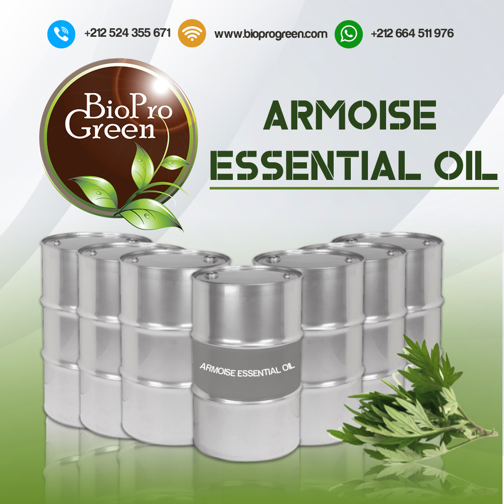 armoise-essential-oil (2)