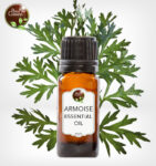 armoise-essential-oil (4)