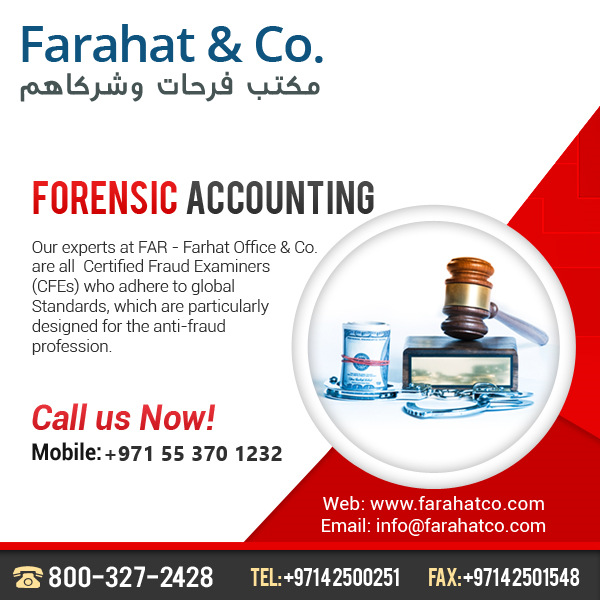 Forensic Accounting and fraud investigation services